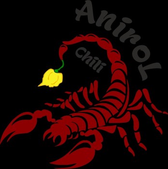 AniroL Chili logokicsi.jpg